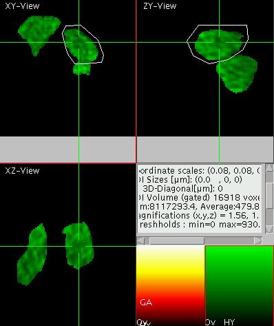 Gate active in the red channel but green channel displayed
